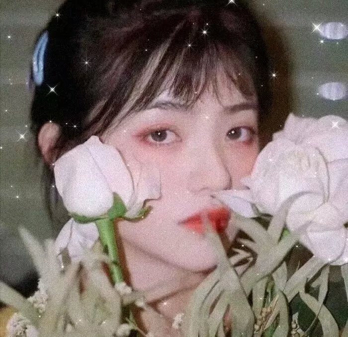 小红娘再点鸳鸯谱